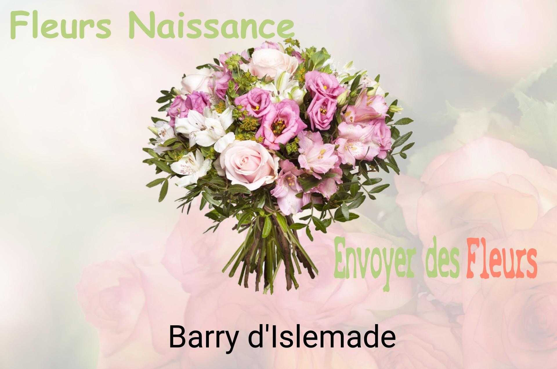 Bouquet de fleurs de naissance livré à Barry-d'Islemade